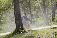 IMG_0343