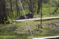 IMG_0344