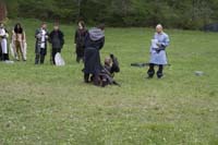 IMG_0510