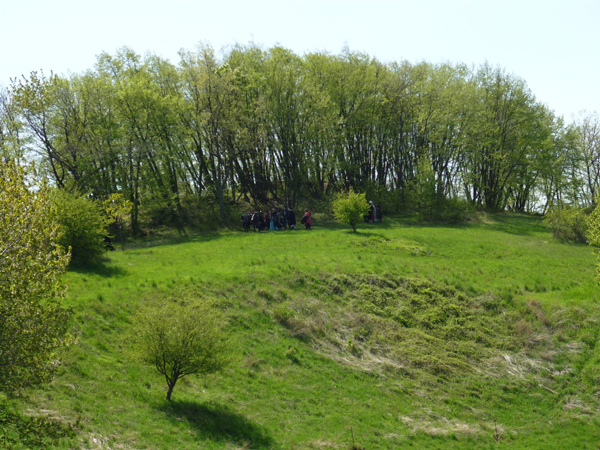 P1000478
