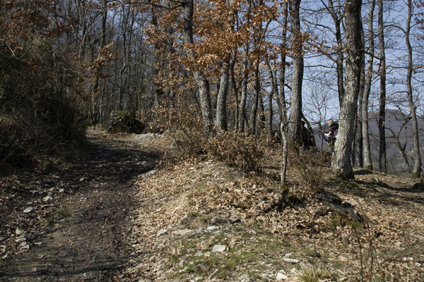 _MG_0884 copy
