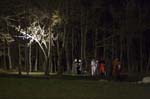 _MG_0524 copy