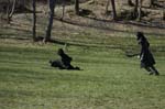 _MG_0842 copy