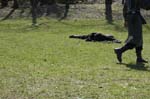 _MG_0936 copy