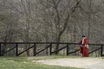 _MG_1109 copy