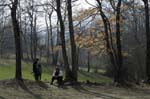 _MG_1113 copy