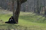 _MG_1120 copy