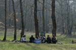 _MG_1131 copy