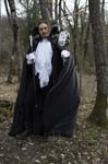 _MG_1178 copy