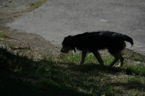 971948_10201153665224898_153095606_n