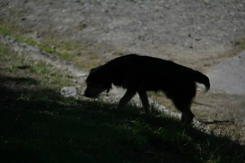 994159_10201153665664909_583357666_n