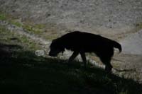 994159_10201153665664909_583357666_n