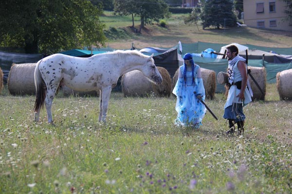 Immagine 225