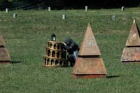 1184796_10202170087523588_220425159_n