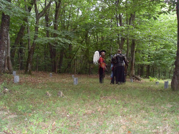 SDC11808
