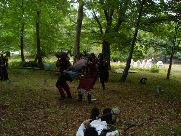 SDC11875