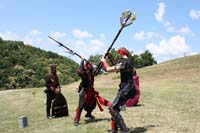 IMG_1337